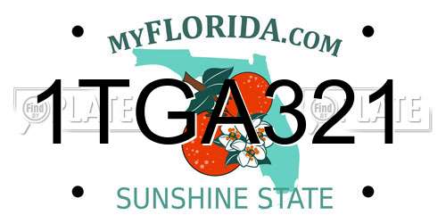 1TGA321 Florida License Plate