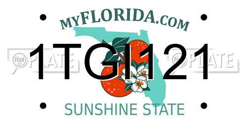 1TGI121 Florida License Plate