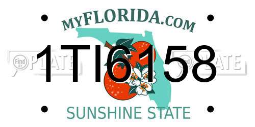 1TI6158 Florida License Plate