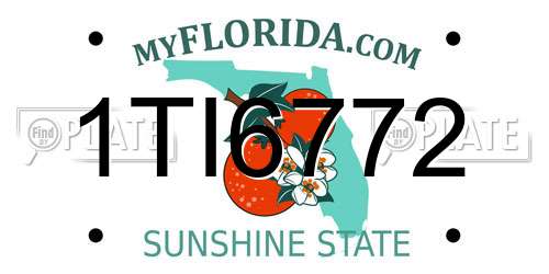 1TI6772 Florida License Plate