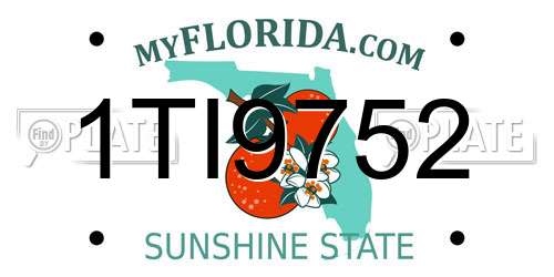 1TI9752 Florida License Plate