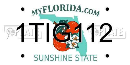 1TIG112 Florida License Plate
