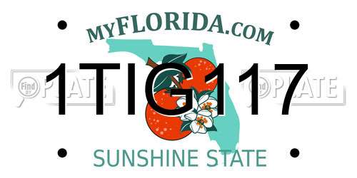 1TIG117 Florida License Plate