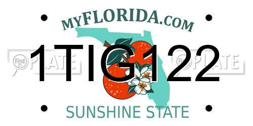 1TIG122 Florida License Plate