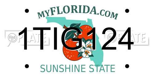1TIG124 Florida License Plate