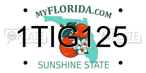 1TIG125 Florida License Plate