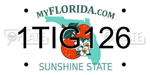 1TIG126 Florida License Plate