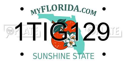 1TIG129 Florida License Plate