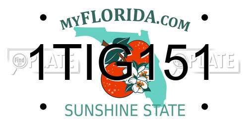 1TIG151 Florida License Plate