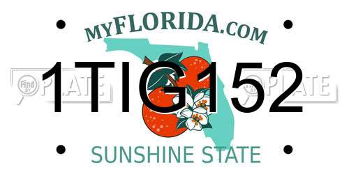 1TIG152 Florida License Plate