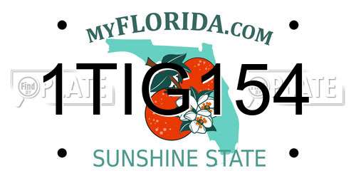 1TIG154 Florida License Plate
