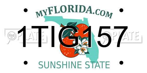 1TIG157 Florida License Plate