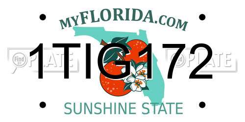 1TIG172 Florida License Plate