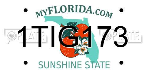 1TIG173 Florida License Plate