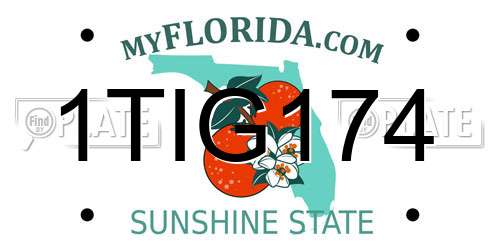 1TIG174 Florida License Plate