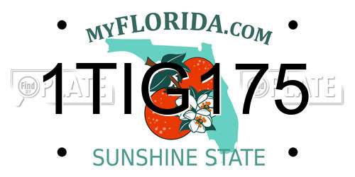 1TIG175 Florida License Plate