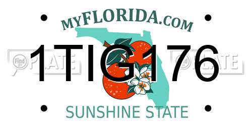 1TIG176 Florida License Plate