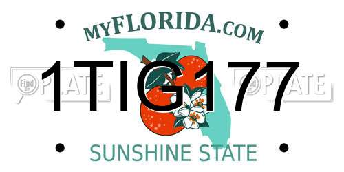 1TIG177 Florida License Plate