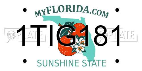 1TIG181 Florida License Plate