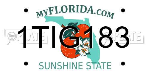 1TIG183 Florida License Plate