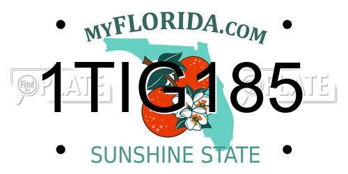 1TIG185 Florida License Plate