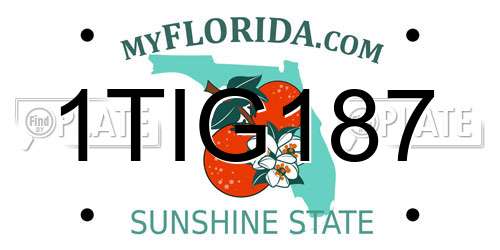1TIG187 Florida License Plate