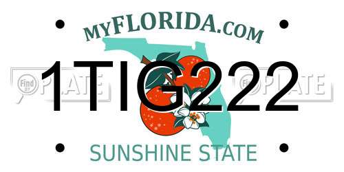 1TIG222 Florida License Plate