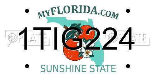 1TIG224 Florida License Plate