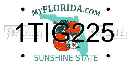 1TIG225 Florida License Plate