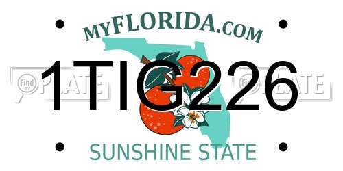 1TIG226 Florida License Plate