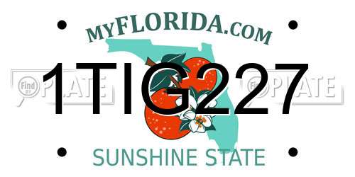 1TIG227 Florida License Plate
