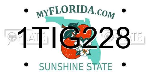 1TIG228 Florida License Plate