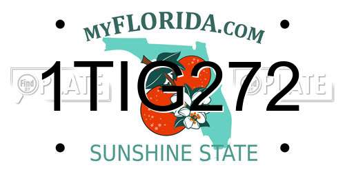 1TIG272 Florida License Plate