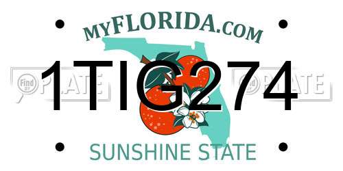 1TIG274 Florida License Plate