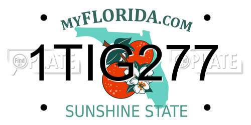 1TIG277 Florida License Plate