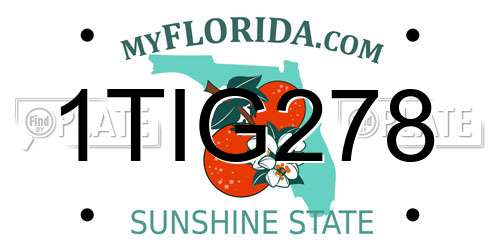 1TIG278 Florida License Plate