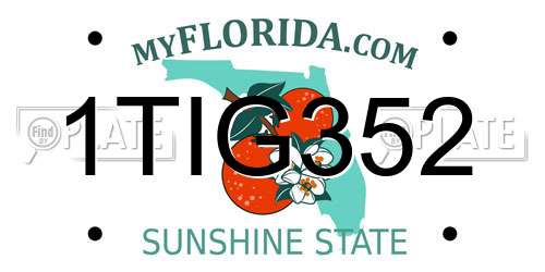 1TIG352 Florida License Plate