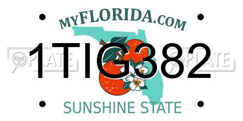 1TIG382 Florida License Plate