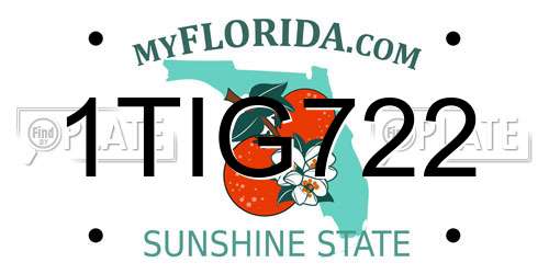 1TIG722 Florida License Plate
