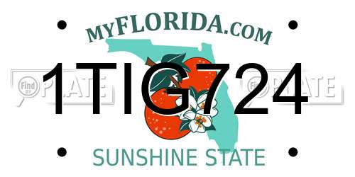 1TIG724 Florida License Plate