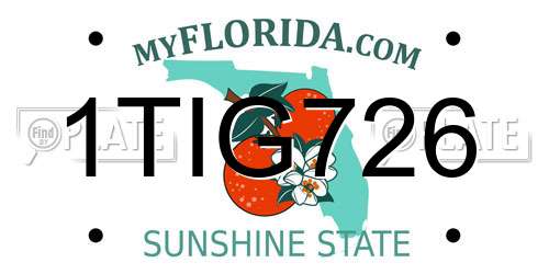 1TIG726 Florida License Plate