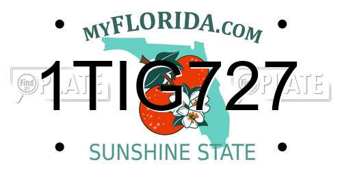 1TIG727 Florida License Plate