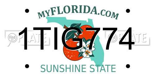1TIG774 Florida License Plate