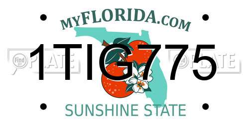 1TIG775 Florida License Plate