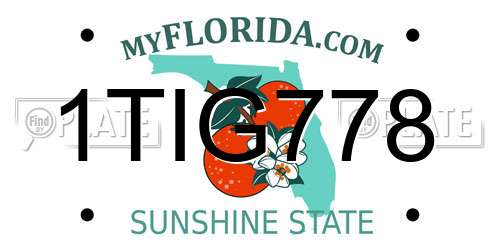 1TIG778 Florida License Plate