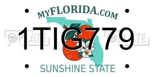 1TIG779 Florida License Plate