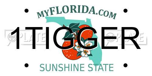 1TIGGER Florida License Plate