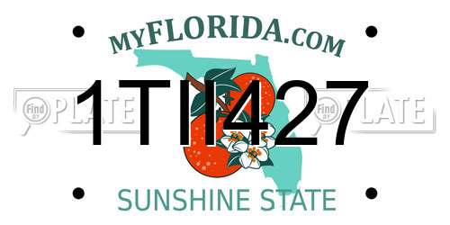 1TII427 Florida License Plate