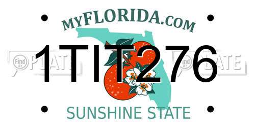 1TIT276 Florida License Plate