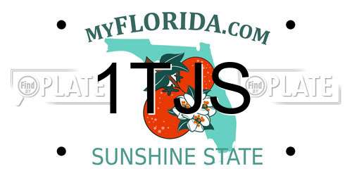 1TJS Florida License Plate